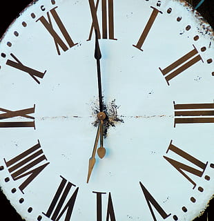 clock, time, timeless, time indicating, time of, clock face, watches, wrist watch, pointer, analog, movement, watchmaker, dials, no people, minute hand, indoors, accuracy, shape, pattern, close-up, roman numeral, roman, clock hand, instrument of time, metal, old, low angle view, still life, geometric shape, wood - material, directly below, 2K, CC0, public domain, royalty free