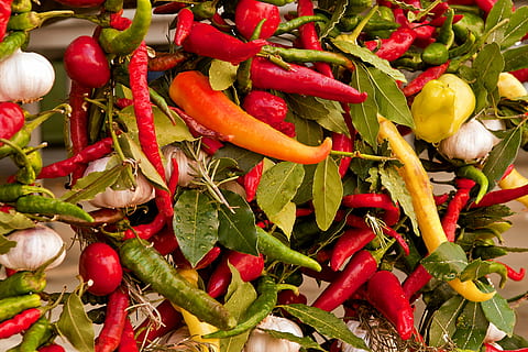 groenten, bazaar, paprika, groente, eten en drinken, voedsel, Chili peper, versheid, peper, rood, kruid, volledig kader, welzijn, geen mensen, achtergronden, gezond eten, rode chili peper, groene kleur, grote groep objecten, hoge hoekmening, dag, stilleven, detailopname, vegetarisch eten, 2K, CC0, publiek domein, royaltyvrij