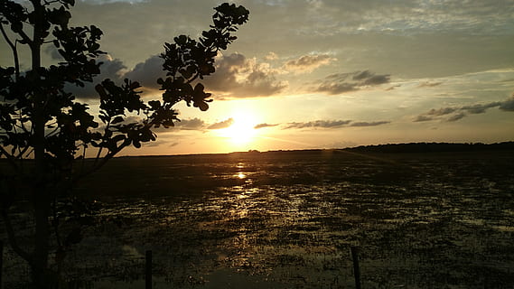 naturaleza, Sol, puesta de sol, nube, final de la tarde, agua, cielo, belleza en la naturaleza, paisajes - naturaleza, tranquilidad, escena tranquila, Dom, nube - cielo, planta, luz del sol, árbol, color naranja, idílico, silueta, escena no urbana, crecimiento, nadie, al aire libre, destello de lente, 4K, CC0, dominio público, libre de derechos