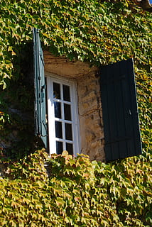 åbning, vindue, skodder, arkitektur, bygget struktur, bygning udvendig, bygning, plante, blad, plante del, hus, vækst, ingen mennesker, dag, natur, vedbend, åben, boligområde, udendørs, dør, grøn farve, indgang, vinduesramme, 4K, CC0, offentligt domæne, royaltyfrie