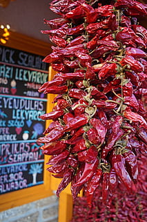 peber, rød, spidse rød peber, grøntsager, mad, chili peber, ingen mennesker, til salg, hængende, friskhed, tæt på, fokus på forgrunden, rød chili peber, krydderi, marked, tekst, stilleben, detail, stor gruppe af objekter, overflod, religion, tro, detailvisning, 2K, CC0, offentligt domæne, royaltyfrie