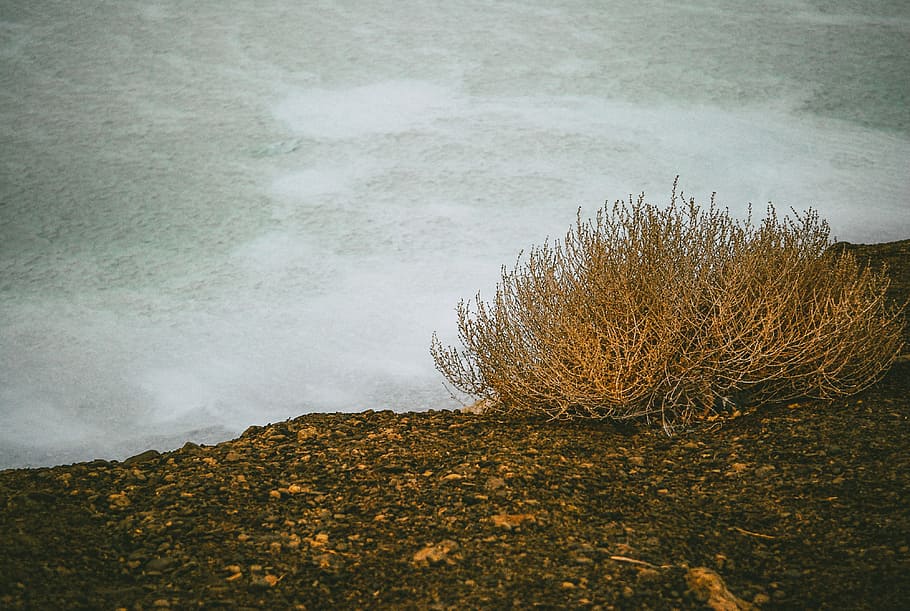 cespuglio vicino al fiume, cespuglio, fiume, paesaggio, natura, nessuno, all'aperto, Paesaggi, autunno, acqua, bellezza nella natura, la tranquillità, campo, mare, scenics - natura, onda, terra, movimento, sport acquatico, giorno, pianta, scena tranquilla, sport, spiaggia, potere in natura, acqua corrente, 4K