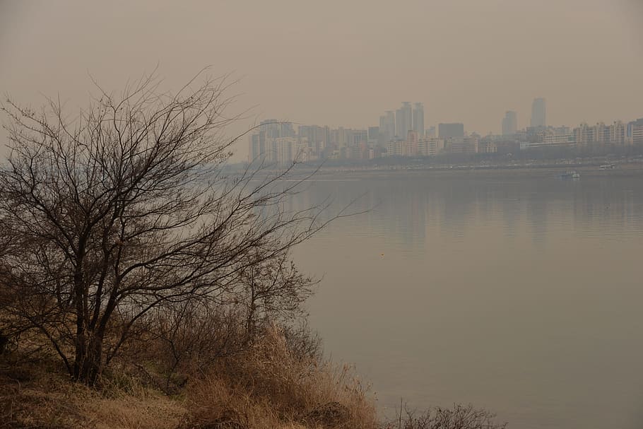 madera, por el rio, árbol, agua, arquitectura, estructura construida, cielo, exterior del edificio, ciudad, árbol desnudo, nadie, naturaleza, edificio, río, paisaje, planta, frente al mar, al aire libre, tranquilidad, puesta de sol, horizonte urbano, edificio de oficinas exterior, rascacielos, paisaje urbano, 5K