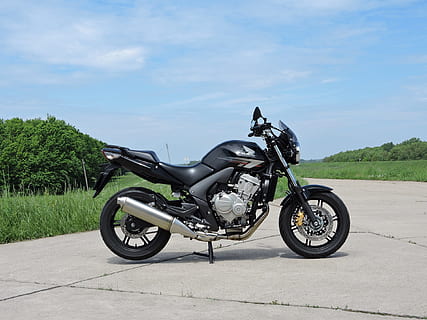 ホンダ, cbf600, エンジン, 交通手段, 陸上車両, 空, 定常, 自然, 日, オートバイ, 工場, 雲 - 空, 日光, パーキング, 側面図, 道路, 屋外, 緑色, 木, 無人, 旅行, 黒色, レザー, 1080P, CC0, パブリックドメイン, ロイヤリティフリー