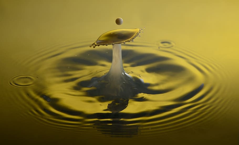 gota d’aigua, tirar, corona, llet, macro, impacte, impacte macro, experimentar, groc, abstracció, col·lisió, un animal, reflexió, cap gent, aigua, temes d'animals, moviment, ondulat, primer pla, naturalesa, esquitxades, a l'aire lliure, tir de l'estudi, puresa, fons, caient, fons de colors, davant del mar, frescor, fotografia d'alta velocitat, concèntric, 1080P