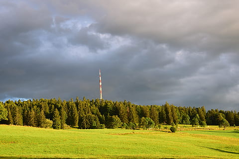 caure, bosc, antena, gris, núvol - cel, cel, arbre, planta, naturalesa, terra, medi ambient, herba, cap gent, color verd, arquitectura, bellesa a la natura, paisatge, escenics - natura, comunicació, torre, tecnologia, a l'aire lliure, ominós, arbre de coníferes, 5K, CC0, domini públic, lliure de regalies