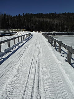 Canada, snescooter, vinter, sne, bro, Québec, kold temperatur, dækker, vejen frem, retning, ro, scenics - natur, træ, natur, dækspor, hvid farve, ingen mennesker, skønhed i naturen, jord, rolig scene, plante, Mark, miljø, udendørs, faldende perspektiv, 4K, CC0, offentligt domæne, royaltyfrie