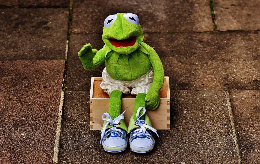 kermit, duduk, bank, sepatu kets, celana, katak, lucu, gelombang, menyenangkan, mainan lunak, boneka binatang, boneka beruang, imut, masa kecil, perwakilan, mainan, warna hijau, boneka mainan, hari, anak, seni dan kerajinan, kreativitas, tampilan sudut tinggi, representasi manusia, di luar rumah, alam, masih hidup, sepatu, merapatkan, tidak bersalah, 5K