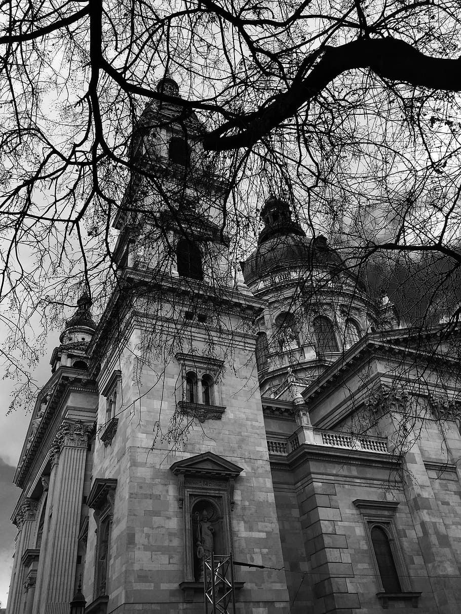 budapest, hivern, desembre, vista d’angle baix, arquitectura, estructura construïda, exterior de l'edifici, arbre, edifici, arbre nu, branca, cap gent, naturalesa, el passat, història, cel, lloc de culte, planta, religió, creença, dia, espiritualitat, a l'aire lliure, 2K