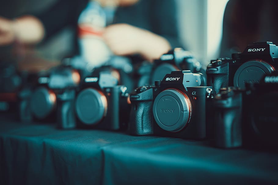 Sony dslr camera lot, lot de cos de la càmera sony, alfa, equipament, sony, equip de càmeres, càmera, fotografia, enregistrament, set, lent, tecnologia, sony alpha, r, càmera de gravació, pel·lícula de càmera, parell, càmera del cos, professional, bt, càmera - equip fotogràfic, temes de fotografia, equip fotogràfic, enfocament selectiu, primer pla, lent - instrument òptic, càmera digital, estil retro, a l'interior, activitat, fotografiar, centrar-se en primer pla, lent - ull, fotògraf, gent, càmera slr, 8K