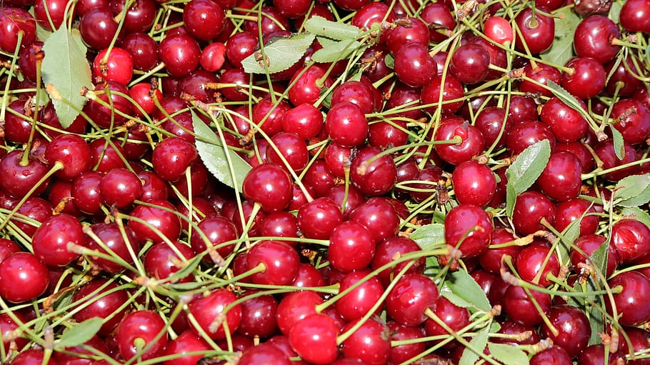 Kirschrot, rot, obst, Kirsche, rot, Obst, Essen und Trinken, Frische, gesundes Essen, Lebensmittel, organisch, Vollbild, Wohlbefinden, Hintergründe, große gruppe von gegenständen, Fülle, keine Leute, Stillleben, direkt darüber, Nahansicht, zu verkaufen, High Angle View, Markt, Verkauf, reif, 5K
