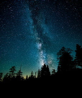 foto di silhouette, alberi, notte, silhouette, foresta, latteo, modo cielo notturno, sfondo, sfondi per iPhone, sfondo dello schermo di blocco, paesaggio, albero, cielo, pianta, la tranquillità, bellezza nella natura, spazio, scena tranquilla, scenics - natura, astronomia, stella - spazio, natura, nessuno, Inquadratura dal basso, crescita, stella, idilliaco, galassia, campo stellare, via Lattea, 4K, CC0, dominio pubblico, privo di copyright
