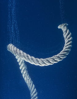 grijze kabel onder water, touw, water, solide, conceptuele, gedachten, idee, aansluiten, verdrinking, blauw, geen mensen, natuur, zee, hemel, onderwater-, onderzees, buitenshuis, dier, dag, dierlijke thema's, schoonheid in de natuur, één dier, wolk - lucht, dieren in het wild, scenics - natuur, dierenleven, kunst en ambacht, 5K, CC0, publiek domein, royaltyvrij
