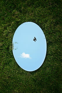 promemoria, Guarda, specchio rotondo, dire bugie, erba, specchio, uccelli, riflessione, nube, pianta, natura, forma geometrica, giorno, cerchio, colore verde, un animale, vertebrato, temi animali, animale, vista dall'alto, terra, campo, forma, nuvola - cielo, fauna selvatica, nessuno, cielo, all'aperto, 5K, CC0, dominio pubblico, privo di copyright