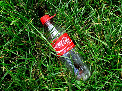 Coca Cola, Limonade, Flasche, leeren, rot, Gras, Cola, Koks, Kommunikation, grüne Farbe, Text, keine Leute, Pflanze, westliche Schrift, High Angle View, Land, Feld, Tag, Natur, Zeichen, Warnschild, Wachstum, draußen, Container, Information, Sicherheit, 1080P, CC0, gemeinfrei, lizenzfrei