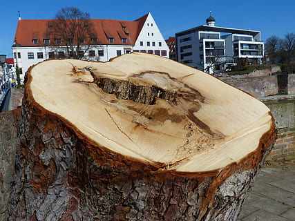 albero, tronco d'albero, segato, rotto, morto, legna, esterno dell'edificio, struttura costruita, architettura, legno - materiale, natura, giorno, nessuno, costruzione, avvicinamento, Casa, all'aperto, quartiere residenziale, creatività, rappresentazione, pianta, arte e artigianato, abbaiare, 4K, CC0, dominio pubblico, privo di copyright