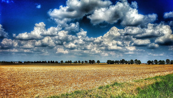 kraštovaizdį, lauke, dangus, debesys, horizonto, vaizdas, peizažas, paplotė, vasara, mėlyna, Žemdirbystė, augalų, debesis - dangus, aplinką, kaimo scenoje, žemės, ramioje scenoje, ramybė, vaizdai - gamta, grožis gamtoje, medis, pobūdį, pasėlių, grūdiniai augalai, ūkis, nėra žmonių, augimą, 2K, CC0, Viešasis domenas, nemokamai