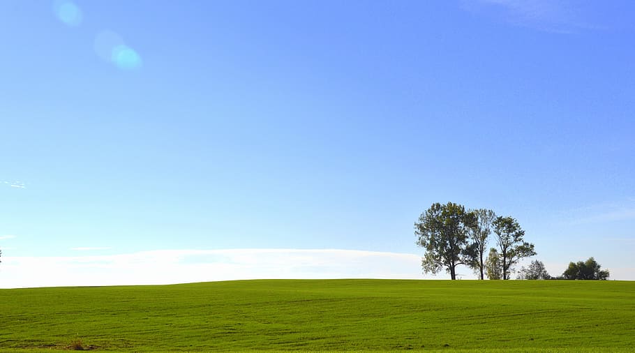 verd, fons de pantalla de temps de dia, camp, paisatge, arbre, warmia, cel, vista, naturalesa, poble, bellesa, tranquil·litat, el silenci, vagant, dia assolellat, humor, herba, color verd, medi ambient, planta, terra, còpia espai, bellesa a la natura, escenics - natura, horitzó, blau, horitzó sobre la terra, escena tranquil·la, escena rural, plana, cap gent, a l'aire lliure, primavera, paisatge rodant, 5K