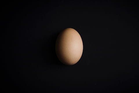 roh, Ei, Schale, Lebensmittel, gesundes Essen, Essen und Trinken, Wohlbefinden, Studioaufnahme, schwarzer Hintergrund, keine Leute, drinnen, Frische, tierisches Ei, Rohkost, Zerbrechlichkeit, Verletzlichkeit, kopieren sie platz, Nahansicht, einzelnes Objekt, braun, Natur, Stillleben, Frühstück, 4K, CC0, gemeinfrei, lizenzfrei