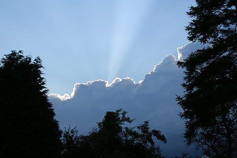 wolk, zilver, voering, hemel, silhouet, blauw, boom, haarlok, straal, fabriek, wolk - lucht, schoonheid in de natuur, lage hoekweergave, natuur, groei, scenics - natuur, geen mensen, dag, kalmte, buitenshuis, rustige scène, niet-stedelijke scène, zonlicht, Bos, kracht in de natuur, naaldboom, 2K, CC0, publiek domein, royaltyvrij