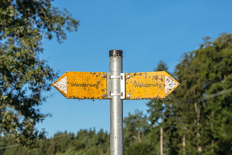 signposts, drumeții, trasee, scut, trasee turistice, direcţie, director, natură, caracterul migrator, semne, signpost, cer, pădure, bord, mergi la plimbare, pelerinaj, copac, indicator, îndrumare, comunicare, zi, plantă, semn, nici o persoana, să se concentreze asupra primelor elemente, cer senin, galben, în aer liber, drum, semn de direcție, albastru, vedere unghiulară joasă, simbol, pol, 4K, CC0, domeniu public, fără drepturi de autor