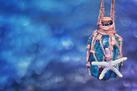 braun, Glasflasche, eingewickelt, Schnur, Weiß, Seestern, suspendiert, Luft, Blau, Oberfläche, auf Sendung, Weihnachten, Dekoration, Winter, glänzend, keine Leute, Nahansicht, Weihnachtsdekoration, Tag, draußen, Himmel, hängend, Urlaub, Fokus auf den Vordergrund, Feier, kalte Temperatur, Weihnachtsverzierung, selektiver Fokus, Schnee, Natur, gefroren, Baum, Eis, lila, 1080P, CC0, gemeinfrei, lizenzfrei