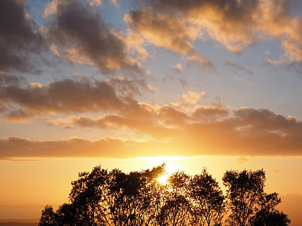 Wolken, Himmel, Sonnenuntergang, Passage, Sonne, Abend, romantisch, Romantik, Gelb, hell, Sonnenlicht, Abendstunden, Bäume, Baum, Schönheit in der Natur, Pflanze, Szenen - Natur, wolke - himmel, Ruhe, ruhige Szene, orange Farbe, Silhouette, Natur, keine Leute, Wachstum, idyllisch, draußen, Nicht-städtische Szene, Flachwinkelansicht, romantischer Himmel, 4K, CC0, gemeinfrei, lizenzfrei
