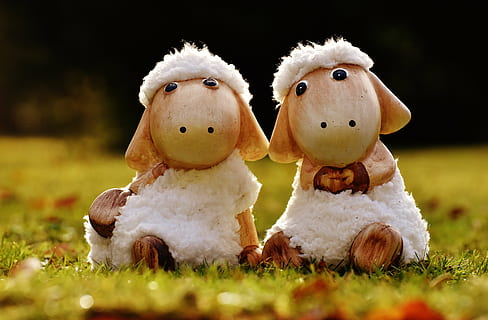 Due, bianca, figurine di pecore, pecora, deco, ceramica, carina, figura, peluche, lana, viso, ungulato, giocattoli, animale, divertente, decorazione di Pasqua, erba, nessuno, giorno, avvicinamento, all'aperto, rappresentazione, celebrazione, vacanza, rappresentazione umana, giocattolo, creatività, Natale, arte e artigianato, pianta, natura, decorazione, Pasqua, somiglianza maschile, mammifero, pupazzo di pezza, 5K, CC0, dominio pubblico, privo di copyright