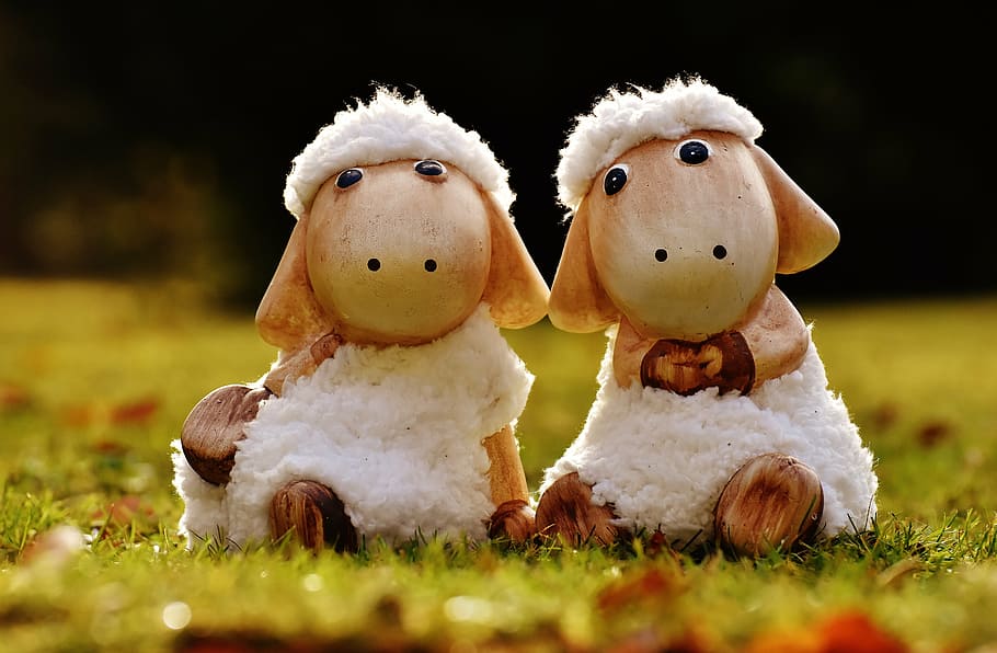 dos, blanc, figures d’ovelles, ovelles, deco, ceràmica, bonic, figura, joguina suau, llana, cara, ungulate, joguines, animal, divertit, decoració de pasqua, herba, cap gent, dia, primer pla, a l'aire lliure, representació, celebració, festa, representació humana, joguina, creativitat, Nadal, art i artesania, planta, naturalesa, decoració, Pasqua, semblança masculina, mamífer, joguina de peluix, 5K