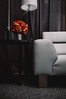 minimal interior design, Minimal, interior design, interior, minimalist, sofa, furniture, gray, grey, simply, minimalism, room, home, coffee table, decor, indoors, decoration, domestic Room, no People, elegance, living Room, comfortable, modern, electric Lamp, luxury, chair, home Interior, curtain, day, seat, absence, table, nature, lighting equipment, focus on foreground, house, architecture, built structure, stuffed, plant, 5K