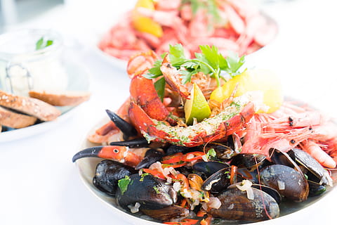 cibo, piatto, pranzo, pasto, aperitivo, Granchio, cucina, delizioso, cena, conoscitore, fotografia di cibo, frutti di mare, mollusco, gamberetto, cibo e bevande, mangiare sano, freschezza, benessere, crostaceo, pronto a mangiare, verdura, mitilo, carne, buongustaio, avvicinamento, insalata, nessuno, ristorante, erba, contorno, vasellame, vassoio, 8K, CC0, dominio pubblico, privo di copyright