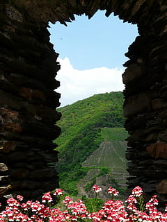 finestra, pedra, finestra de pedra, mirant, cel, núvols, burg metternich, castell, ruïna, metternich, vinyes, beilstein, sachsen, Alemanya, planta, naturalesa, bellesa a la natura, cap gent, creixement, flor, dia, planta amb flors, arbre, rock, escenics - natura, tranquil·litat, color verd, arquitectura, terra, sòlid, muntanya, a l'aire lliure, aigua, 2K, CC0, domini públic, lliure de regalies