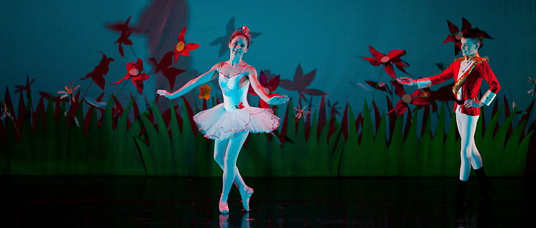 ballarina, actuant, etapa, ballet, espectacle, rendiment, disfressa, escena, dansa, art, joves, dones, gent, vermell, ballant, cultura i entreteniment artístic, naturalesa, moviment, animal, elegància, a l'interior, celebració, escenari - espai de rendiment, esdeveniment d’arts escèniques, creativitat, esdeveniment, ball tradicional, 4K, CC0, domini públic, lliure de regalies