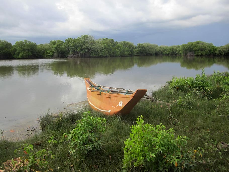 laguna, bota, fischer, Ryba, Srí Lanka, pláž, tropy, Dovolená, Penzion ibis, nebe, moře, voda, Příroda, jezero, mrak - nebe, klid, odraz, rostlina, námořní plavidlo, strom, krása v přírodě, kotvící, klidné scény, den, způsob dopravy, scenics - příroda, přeprava, růst, mimoměstské scény, nikdo, venku, loďka, rybářská loď, 2K