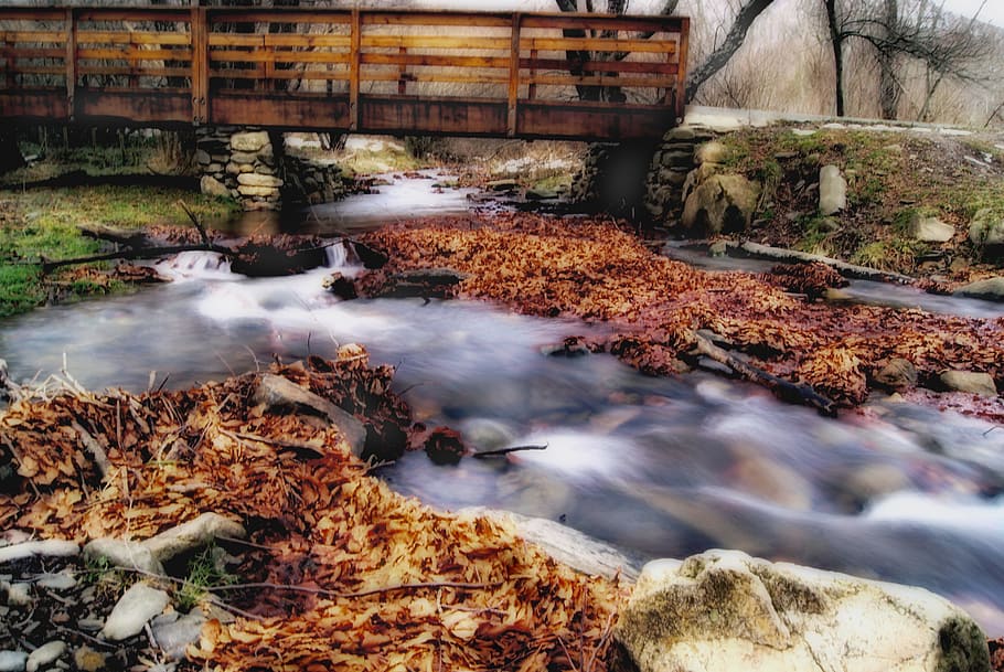 rio, fluindo, corrente, ponte, outono, panorama, agua, corredeiras, flui, velozes, movendo-se, selvagem, natureza, movimento, ninguém, Rocha, dia, sólido, árvore, movimento borrado, plantar, Exposição longa, rock - objeto, água corrente, parte da planta, ao ar livre, floresta, arquitetura, terra, mudança, pureza, sai, 4K