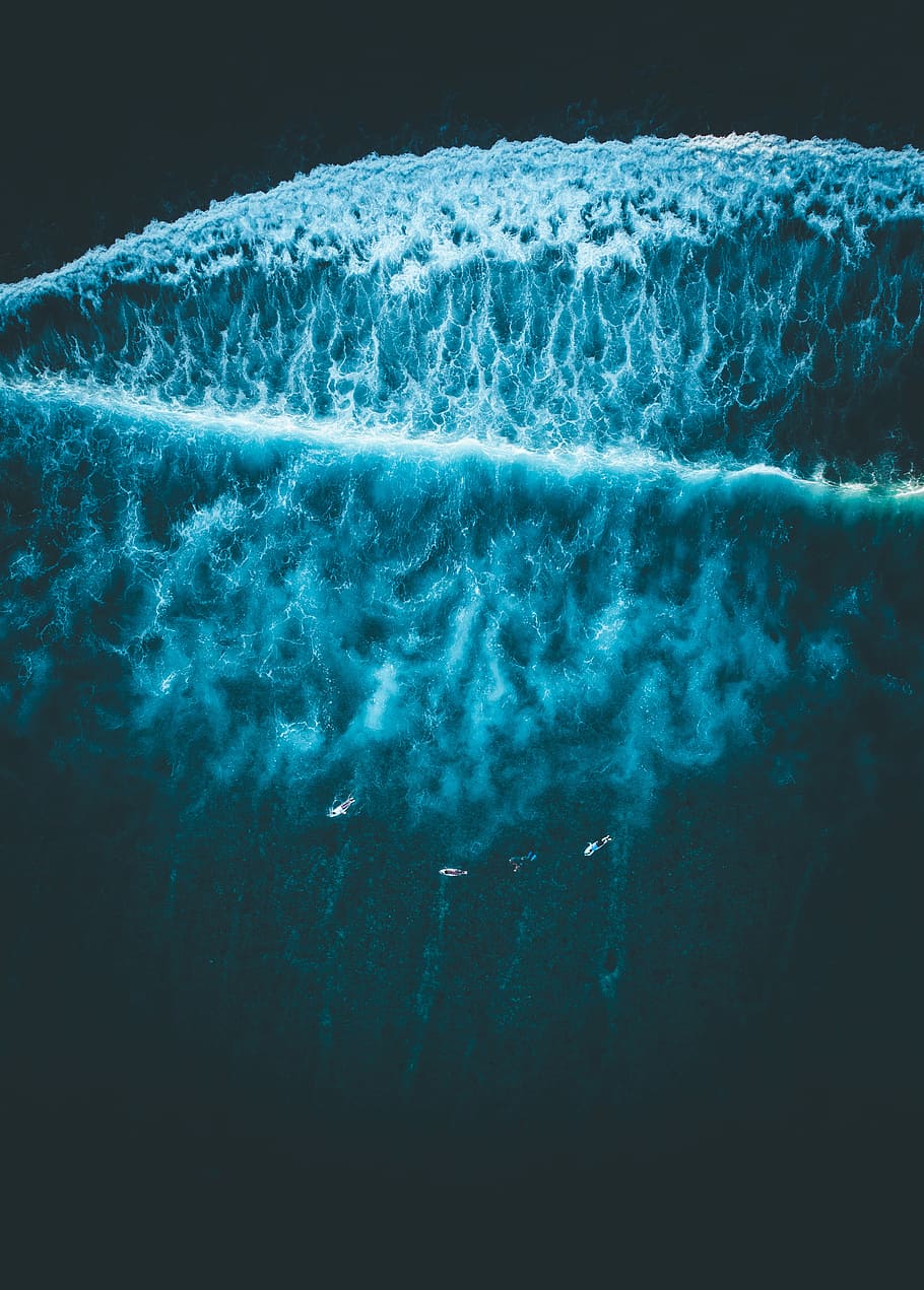 fugl, øjenblik, havbølger, fugleperspektiv, vandbølger, dramatisk, bølge, surf, strand, hav, ocean, blå, drone, maldife, vand, bevægelse, ingen mennesker, natur, skønhed i naturen, udendørs, scenics - natur, tæt på, dag, vandsport, undervands-, miljø, hastighed, sport, magt i naturen, sort baggrund, renhed, turkisfarvet, 4K