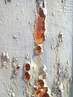 rust, texture, surface, broken paint, white, day, water, full frame, no people, outdoors, backgrounds, nature, close-up, beauty in nature, wood - material, leaf, plant part, dry, autumn, change, textured, plant, pattern, wall - building feature, brown, vulnerability, directly above, leaves, natural condition, dried, 4K, CC0, public domain, royalty free