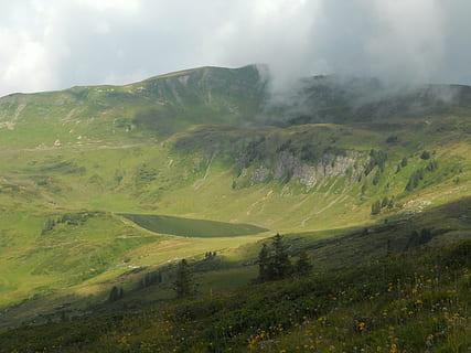 Austria, paisaje, cielo, nubes, escénico, niebla, montañas, Valle, barranco, hierba, plantas, arboles, flores silvestres, las flores, naturaleza, fuera de, país, campo, verano, primavera, ambiente, paisajes - naturaleza, escena tranquila, belleza en la naturaleza, tranquilidad, montaña, escena no urbana, nadie, tierra, color verde, día, nube - cielo, planta, remoto, idílico, al aire libre, paisaje ondulado, 4K, CC0, dominio público, libre de derechos