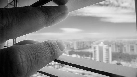 gråtonebilde, person, håndåpningsvindu, blind, hus, utsikt, vindu, persienner, tre, arkitektur, menneskelig hånd, menneskelig kroppsdel, hånd, menneskelig finger, finger, én person, kroppsdel, nærbilde, by, bygge eksteriør, glass - materiale, bygget struktur, holding, himmel, natur, fokusere på forgrunnen, bybildet, utendørs, skyskraper, 4K, CC0, offentlig domene, opphavsrett gratis