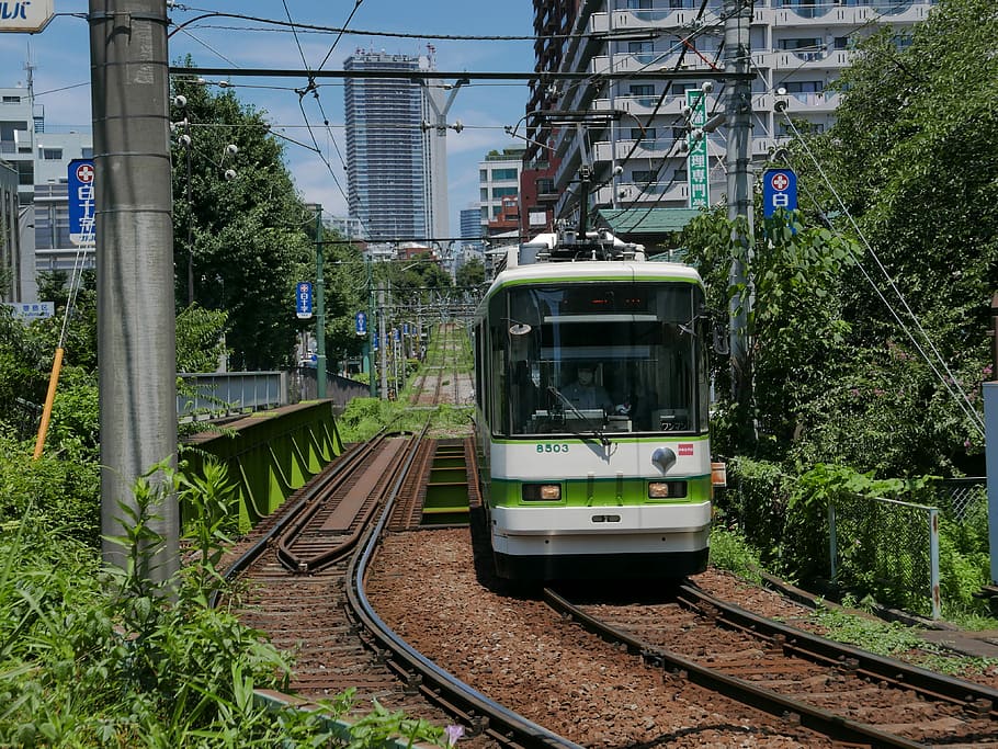 bonde, trem, trilhos de trem, frente, Visão, cidade, eléctrico, trem, faixas, vista frontal, rota, comutar, verde, ferrovia, Transporte ferroviário, transporte, transporte público, trem - veículo, dia, rastrear, modo de transporte, arquitetura, plantar, estrutura construída, árvore, exterior do edifício, natureza, veículo terrestre, bonde, bondinho, cabo, eletricidade, ao ar livre, ninguém, fonte de energia, 4K