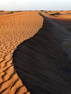 desert, duna, sorra, estructura, pinta, duna de sorra, clima àrid, paisatge, escenics, escenics - natura, terra, clima, bellesa a la natura, tranquil·litat, escena tranquil·la, medi ambient, escena no urbana, remot, naturalesa, cap gent, cel, dia, idíl·lic, marró, a l'aire lliure, 2K, CC0, domini públic, lliure de regalies