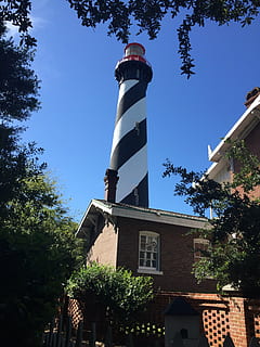 st Augustine, majakka, kesä, Augustine, Florida, historiallinen, merenkulku-, Yhdysvallat, maamerkki, matkustaa, arkkitehtuuri, maisema, rannikko, ulko-, historia, Amerikka, matkailu, rakennuksen ulkoa, rakennettu rakenne, kasvi, rakennus, puu, matala kulma, taivas, luonto, torni, ei ihmisiä, päivä, kasvu, auringonvalo, ulkona, sininen, opastus, kaupunki, asuinalueella, 2K, CC0, public domain, rojaltivapaa