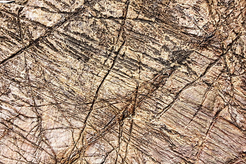 struttura, sfondo, pietra, modello, astratto, la zona, superficie, formato orizzontale, trama di sfondo, solco, intemperie, strutturato, fotogramma intero, sfondi, albero, ruvido, nessuno, avvicinamento, Marrone, natura, giorno, pianta, abbaiare, legno - materiale, tronco d'albero, tronco, all'aperto, screpolato, modello naturale, anello degli alberi, pianta morta, concentrico, effetto strutturato, 5K, CC0, dominio pubblico, privo di copyright