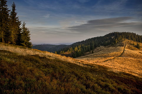 Teile, Hügel, bedeckt, Bäume, Berg, Gräser, Grasland, landen über, Wald, Pfad, Sonnenuntergang, Dämmerung, Spur, Baum, Natur, Landschaft, szenen, draußen, Himmel, grüne Farbe, Schönheit in der Natur, Wiese, Gras, ländliche Szene, Sommer-, wolke - himmel, ruhige Szene, Nicht-städtische Szene, keine Leute, Sonnenlicht, Herbst, Ruhe, Pflanze, Szenen - Natur, Umgebung, Land, Nadelbaum, Kiefer, Kiefernwald, hügelige Landschaft, 4K, CC0, gemeinfrei, lizenzfrei