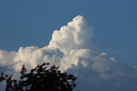 himmel, skyer, form, skyer form, blå, natur, sky - himmel, ingen mennesker, baggrunde, dag, træ, skønhed i naturen, lav vinkel visning, ro, plante, scenics - natur, udendørs, rolig scene, idyllisk, vækst, sollys, trætop, fluffy, meteorologi, 4K, CC0, offentligt domæne, royaltyfrie