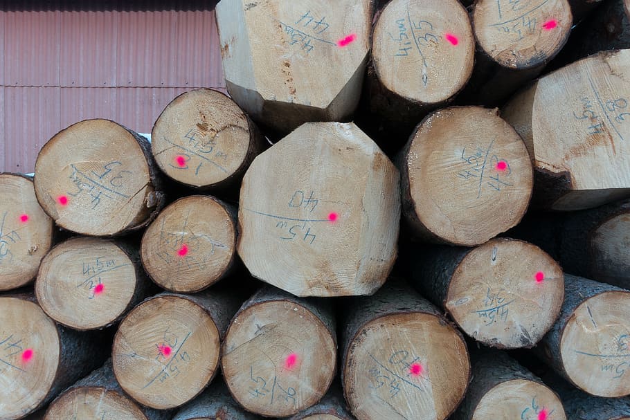 log, woodyard, označit, cenný, dřevo, úložný prostor, sušení, modré psaní, naskládané, struktura, vzor, stříkací barva, fluorescenční červená, velká skupina objektů, zásobník, celý rám, dřevo - materiál, pozadí, hojnost, nikdo, den, stálý život, halda, detail, venku, uspořádání, vysoký úhel pohledu, výběr, palivové dříví, variace, 5K