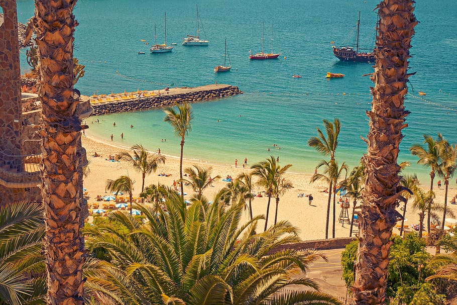 mar, naturalesa, platja, vacances, Costa, moll, medi ambient, port, idíl·lic, illa, oceà, palmeres, gent, plantes, velers, sorra, escènic, paisatge marí, vora del mar, vaixells, Riba, tranquil, tropical, aigua, iot, imatges de drets d’autor, planta, Palmera, clima tropical, arbre, vaixell nàutic, terra, manera de transport, dia, transport, bellesa a la natura, tranquil·litat, viatjar, creixement, cap gent, destinacions de viatge, veler, a l'aire lliure, badia, 2K