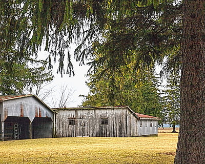 Scheune, rustikal, Scheunen, Ohio, digitale Kunst, ländlich, szenisch, Land, Landschaft, Schuppen, wirft, Bauernhof, Bauernhöfe, Landwirtschaft, landwirtschaftlich, Bauernhaus, champaign, Bezirk, Americana, Foto, fotografieren, Struktur, Strukturen, sturgell, William Sturgell, bill sturgell, historisch, Wohnkultur, Gebäude, Wolken, Himmel, Baum, Bäume, wolkig, Unkraut, Champaign County, Urbana, Pflanze, die Architektur, gebaute Struktur, Gebäudehülle, Tag, Wachstum, Natur, Haus, keine Leute, Feld, draußen, landwirtschaftliches Gebäude, Baumstamm, Kofferraum, 4K, CC0, gemeinfrei, lizenzfrei
