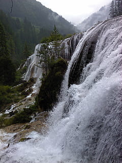 jiuzhaigou, falls, bomen, scenics - natuur, schoonheid in de natuur, water, beweging, waterval, stromend water, lange blootstelling, boom, fabriek, wazig beweging, natuur, land-, niet-stedelijke scène, dag, vloeiende, Bos, berg-, spatten, milieu, geen mensen, buitenshuis, kracht in de natuur, vallend water, 1080P, CC0, publiek domein, royaltyvrij