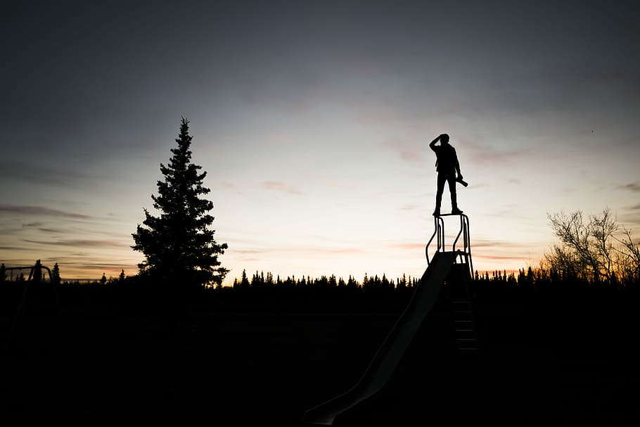 silhouette, persona, in piedi, telaio, albero, tramonto, sagoma di persona, uomo, foresta, alaska, parco, diapositiva, cielo, una persona, pianta, natura, lunghezza intera, uomini, persone reali, scenics - natura, nuvola - cielo, stili di vita, bellezza nella natura, la tranquillità, attività di svago, scena tranquilla, copia spazio, all'aperto, guardando a vista, 5K